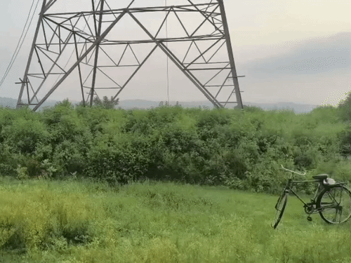 हाई वोल्टेज बिजली पोल, जिस पर दोनों बुजुर्ग चढ़कर धरना दे रहे हैं।