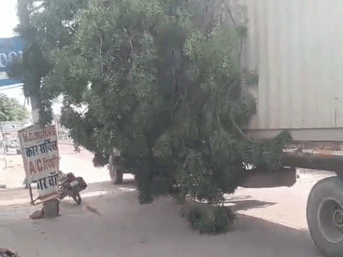 कोटा के सांगरिया फांटा पर ट्रक नीम के पेड़ का बड़ा हिस्सा तोड़कर ले गया। वहीं सरदारपुरा में लोग कहीं भी गाड़ी पार्क करके जाते हैं।
