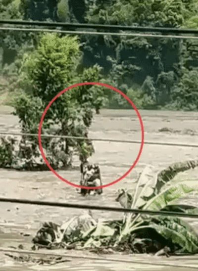 नेपाल में बाढ़ के कारण एक व्यक्ति पानी में बीचोंबीच फंस गया। उसने अपनी जान बचाने के लिए एक पेड़ को पकड़ लिया।