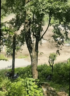 लोग अपनी जान बचाकर भाग रहे हैं। पीछे नदी उफान पर दिख रही है।