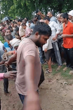 वन विभाग का कहना है कि तेंदुओं को पकड़ने के लिए टीमें लगी हैं। निगरानी बढ़ाई गई है।
