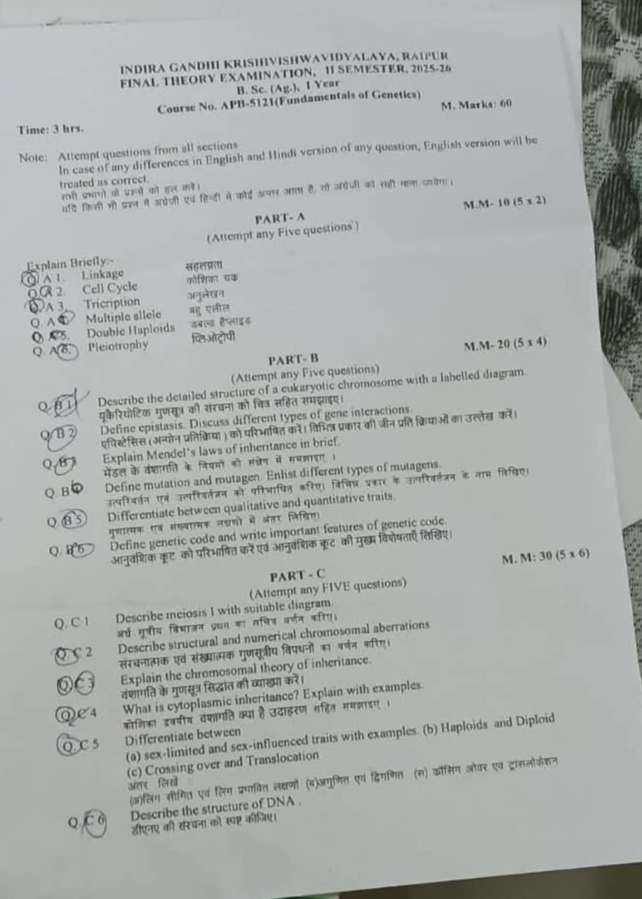 असल पेपर