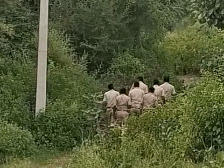 वन कर्मियों ने आसपास का पूरा जंगल छान मारा, लेकिन शाम तक लेपर्ड नहीं दिखा।