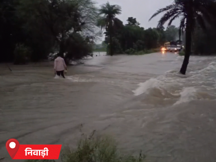 मध्य प्रदेश के निवाड़ी में भारी बारिश से नदी-नाले उफान पर हैं। हाईवे पर ट्रैफिक थम गया है।
