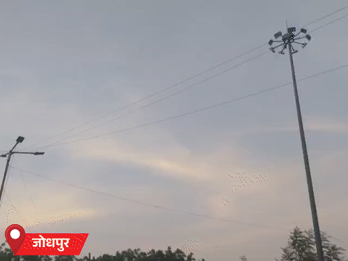 जोधपुर में बीते करीब 20 दिन से बारिश नहीं हुई है। आने वाले दिनों में बारिश की संभावना कम है।