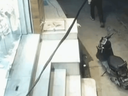 बेकाबू सांड ने दुकान के गेट को टक्कर मार दी।