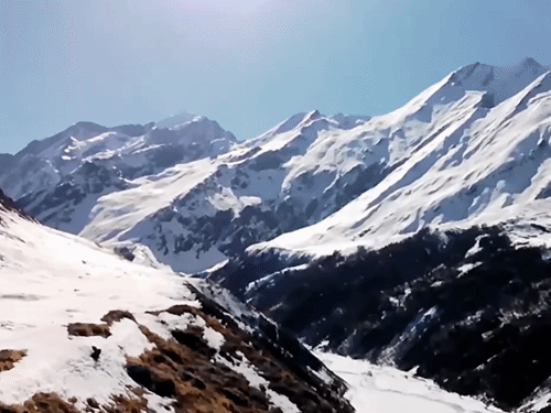 491 साल में 254 बार फट चुकीं; उत्तराखंड में हैंगिंग ग्लेशियर सबसे बड़ा खतरा|देहरादून,Dehradun - Dainik Bhaskar