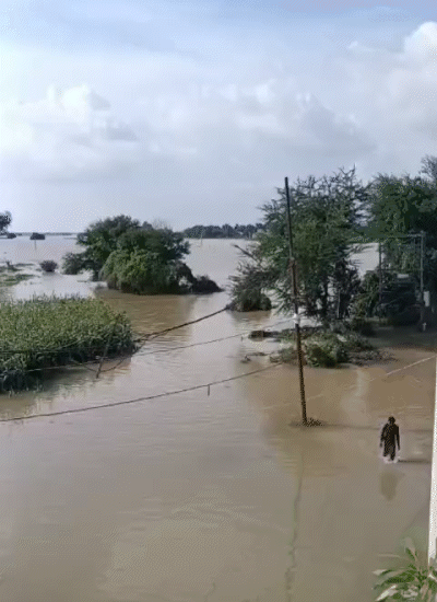 गंगा और गंडक नदी में जलस्तर बढ़ने से वैशाली के राघोपुर की सभी पंयाचतों में बाढ़ की स्थिति बन आई है।