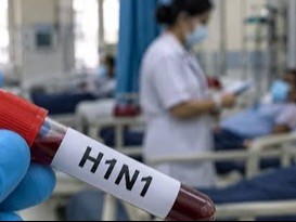 27 दिन में 55 केस; जुकाम-बुखार में भीड़ वाले इलाकों से दूर रहने की सलाह|जयपुर,Jaipur - Dainik Bhaskar