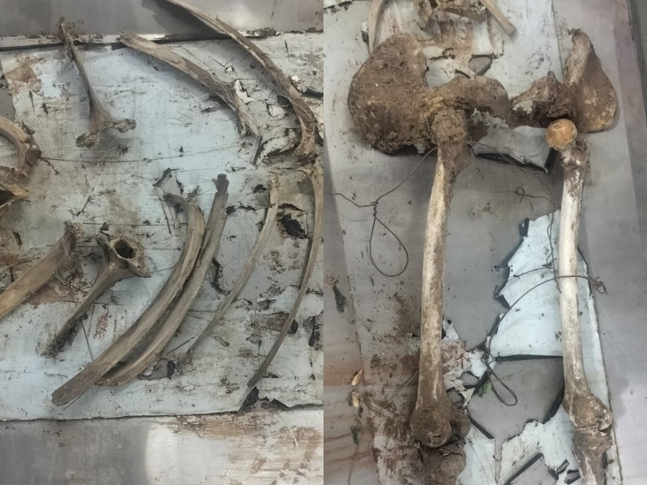 गायब होने के करीब 6 महीने के बाद लीला देवी का कंकाल राजू गिरी के खेत से मिला।