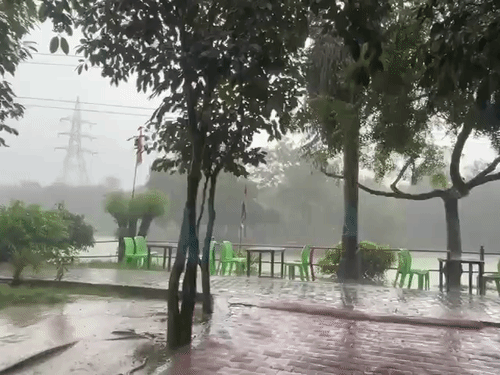 गुरुवार को बारिश हुई।