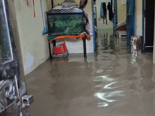 कोरबा में तेज बारिश से शहर के कई इलाकों में जलभराव हो गया।