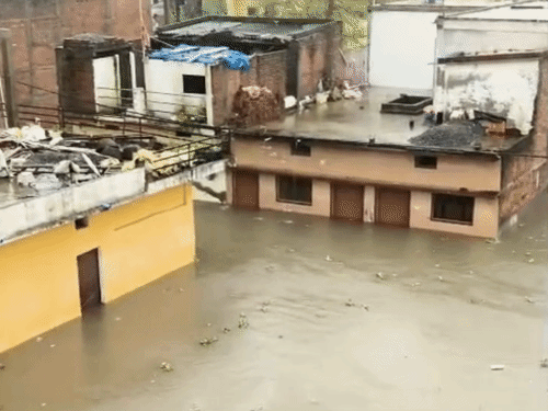कलेक्टर ने फील्ड पर स्थिति का जायजा लिया।