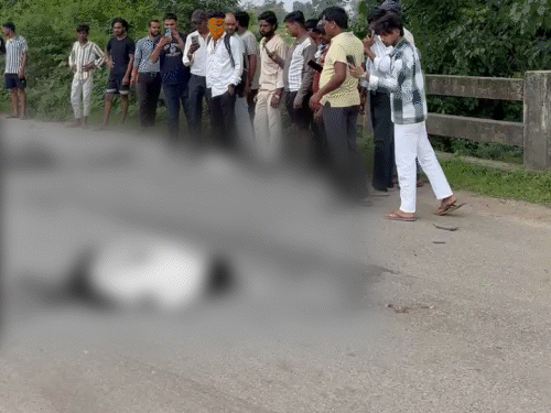 बाइक सवार युवकों को ट्रक ने कुचला। सड़क पर बिखरी लाशें।