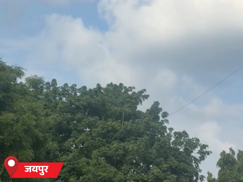 जयपुर में पूरे दिन मौसम साफ रहा। लेकिन तापमान में गिरावट हुई।