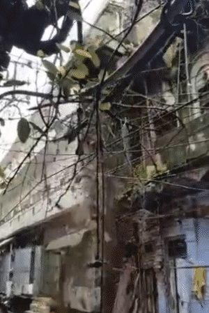 भारी बारिश के बीच कानपुर में एक जर्जर मकान भरभराकर गिर पड़ा। हालांकि, उस समय कोई सदस्य घर में नहीं था।