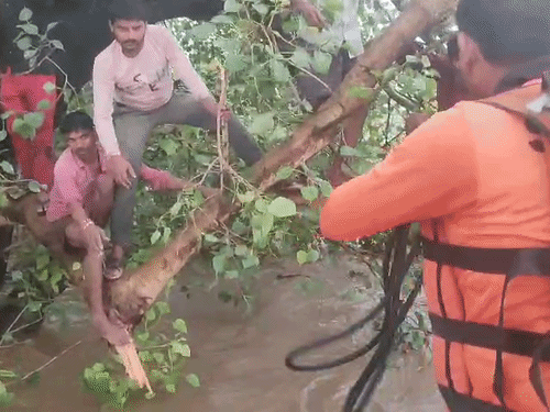 यूपी के गोबरिया गांव में करीब 4 घंटे पीपल के पेड़ पर बैठे रहे 12 लोगों को सुरक्षित बचाया गया।