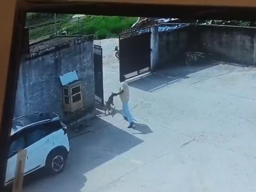 वैष्णोदेवी चिलर के गार्ड रूम में घुसकर बचाई जान।
