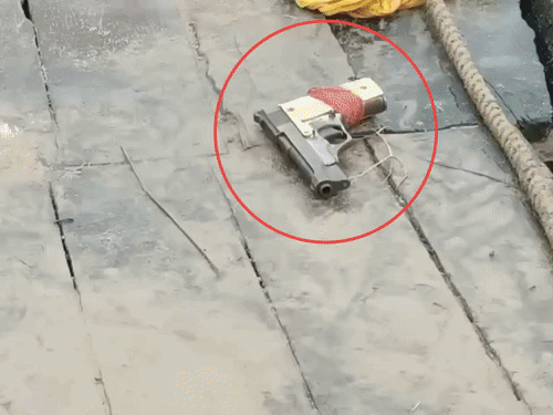 अपराधी के पैर में लगी गोली, 2 फरार; SI घायल, थाना प्रभारी के सिर में चोट|बिहटा,Bihta - Dainik Bhaskar