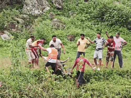 मैनपाट में घुनघुट्टा नदी में बहे युवक लाश बरामद की गई।