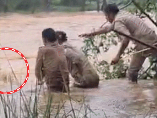 चित्रकूट में वाटरफॉल के तेज बहाव में फंसे 3 पर्यटकों को पुलिस और वन विभाग की टीम ने बचाया।