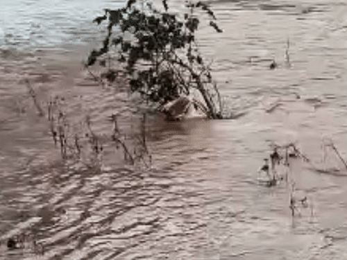 सारंडा के कुइली पहाड़ी नदी के अचानक बढ़े जलस्तर ने तीन ग्रामीणों को अपनी चपेट में ले लिया।