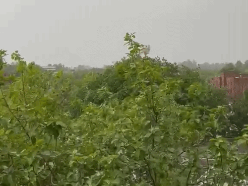 कल से रफ्तार पकड़ेगा मानसून, पंचकूला-अंबाला समेत 3 जिलों में यलो अलर्ट; हिसार सबसे गर्म|हिसार,Hisar - Dainik Bhaskar