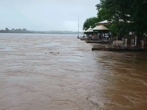 In Jharkhand's Palamu district, the water level of the Son River is rising rapidly following continuous rain and the release of a large amount of water from the upper catchment areas.
