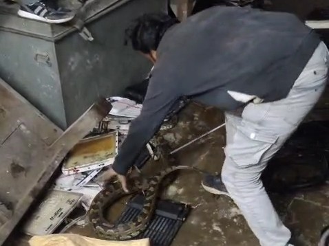 Python Police Perfum Prayagraj GRP Police Lines Python Rescue | Ankit Tarzan Saves Snake
