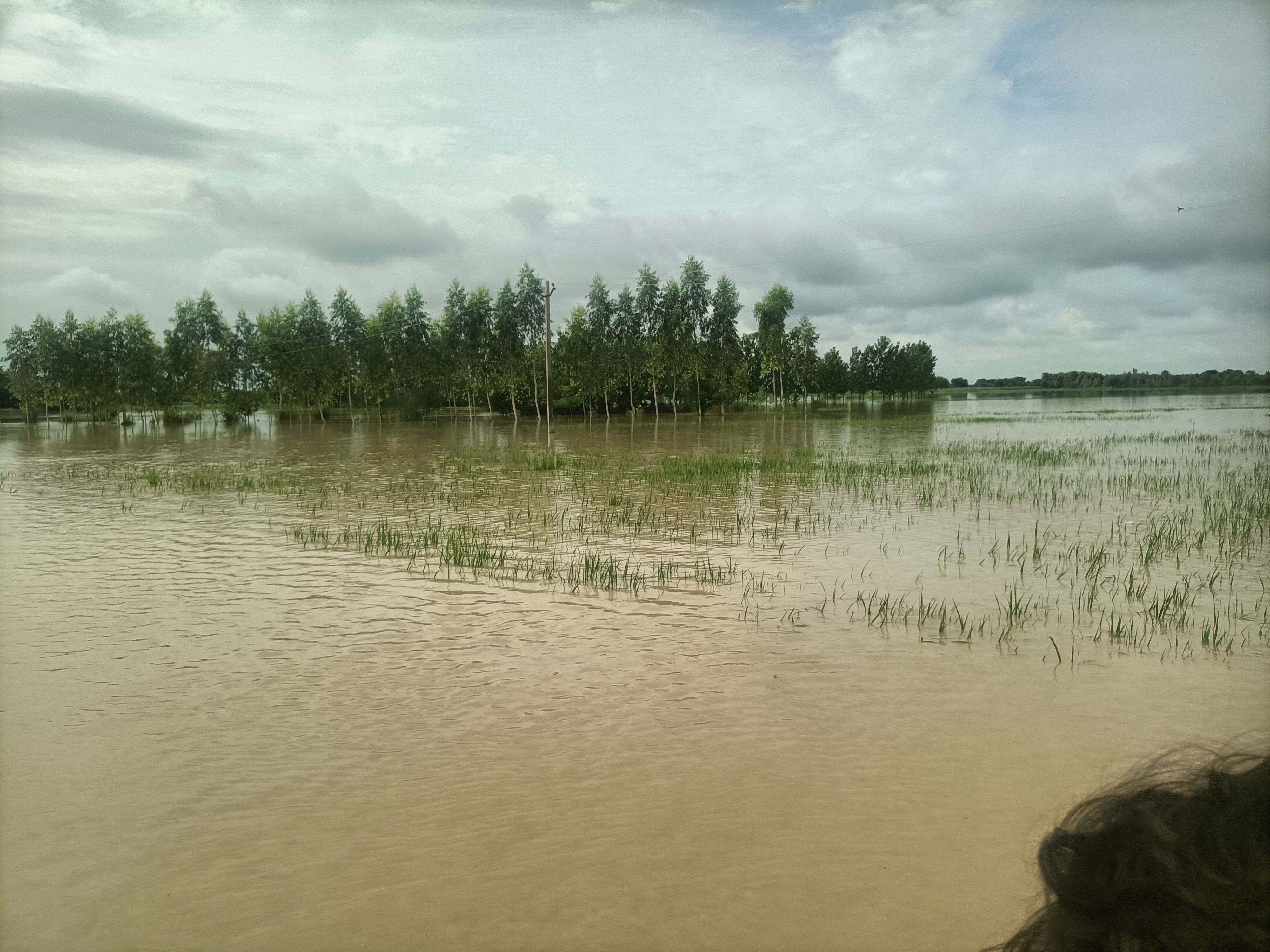 Ghaghra River Water Level Rises Above Danger Mark At Elgin Bridge