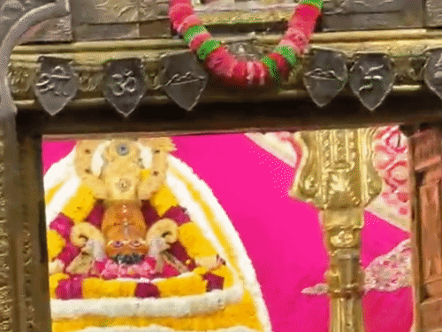 खाटूश्यामजी में वीआईपी दर्शन के नाम पर कई बार लपका गिरोह रुपए ठग लेते हैं।