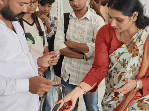 जोधपुर के बिलाड़ा कॉलेज में क्लास में कोबरा आया तो असिस्टेंट प्रोफेसर नीरू गर्ग ने सांप पर पूरी क्लास ले ली।