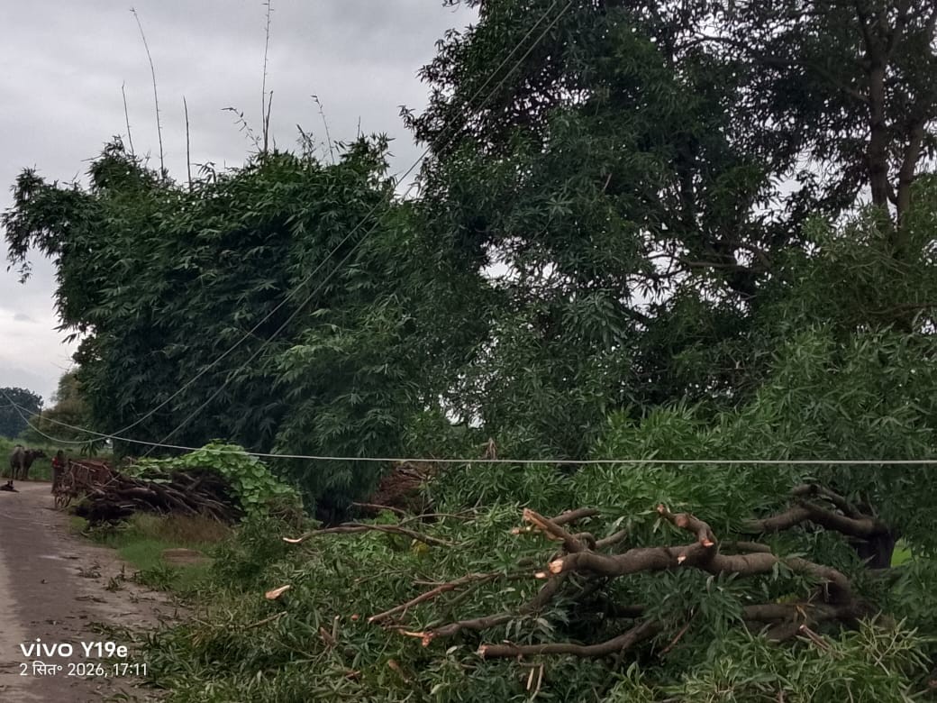 Chitrakoot: High Tension Wire Falls on Road, Risk of Major Accident