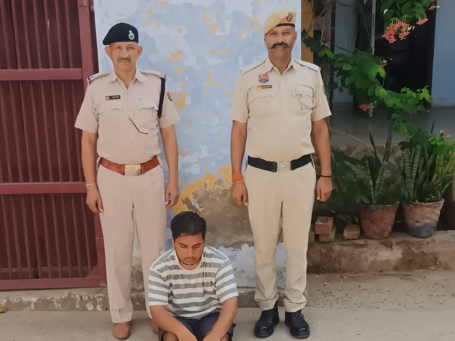 रामपुरा की पहाड़ियों से पकड़ा, फरार साथियों की तलाश कर रही पुलिस|महेंद्रगढ़,Mahendragarh - Dainik Bhaskar
