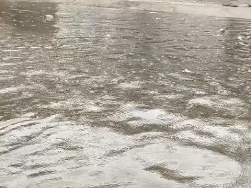 शहर के कई मोहल्लों में जलभराव है, वहीं ग्रामीण क्षेत्रों में बाढ़ का खतरा बढ़ गया है।