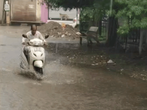 पठानकोट में बारिश के बीच गुजरते वाहन। - Dainik Bhaskar