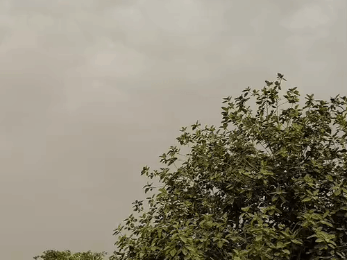 दुर्ग में बादल छाए हुए हैं। सुबह हल्की बूंदाबांदी हुई।