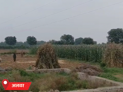 अलवर में गुरुवार को बादल छाए रहे। सुबह के समय हुई हल्की बारिश से गर्मी से भी राहत मिली।