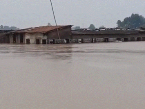 Low-lying areas in Danapur and Maner of Patna, Bihar, have been submerged.