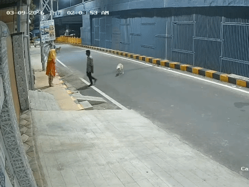 मौके पाते ही युवक ने महिला को पकड़ककर उसके साथ छेड़छाड़ शुरू कर दी।