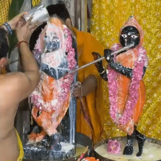 राधा दामोदर मंदिर में भगवान के बाल स्वरूप का दुग्धाभिषेक करते हुए।