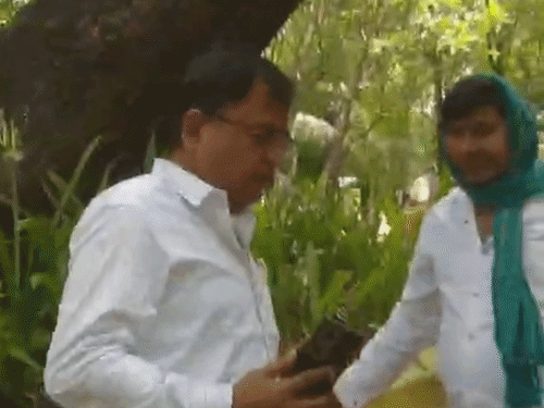रायपुर कलेक्टर गार्डन में खुद फार्म भरते हुए कृष्णा अवस्थी