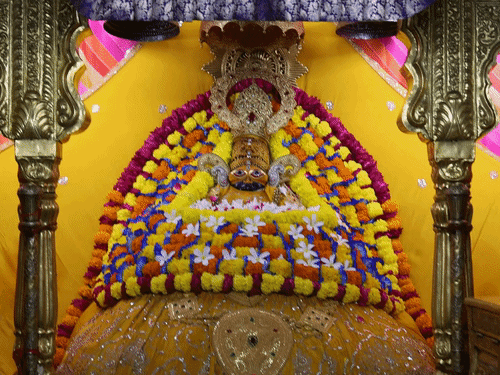खाटूश्यामजी मंदिर में बाबा का फूलों से शृंगार किया गया है।