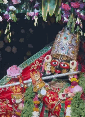 श्री गोपीनाथ जी मंदिर में भगवान को विशेष घड़ी धारण कराई गई, जिसे देखकर श्रद्धालुओं में भी खास उत्साह नजर आया।