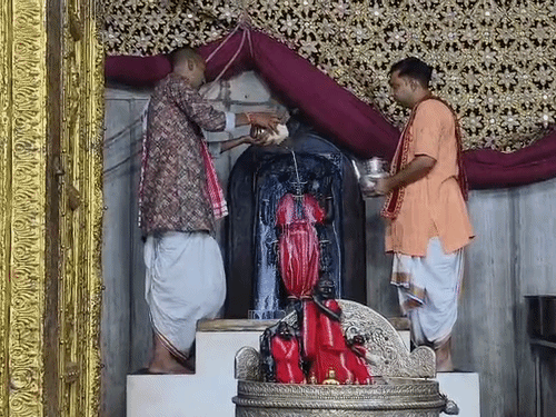 ठाकुर द्वारकाधीश जी का भव्य पंचामृत अभिषेक हुआ। जन्मोत्सव के अवसर पर मंदिर को अत्यंत भव्य रूप से सजाया गया था।