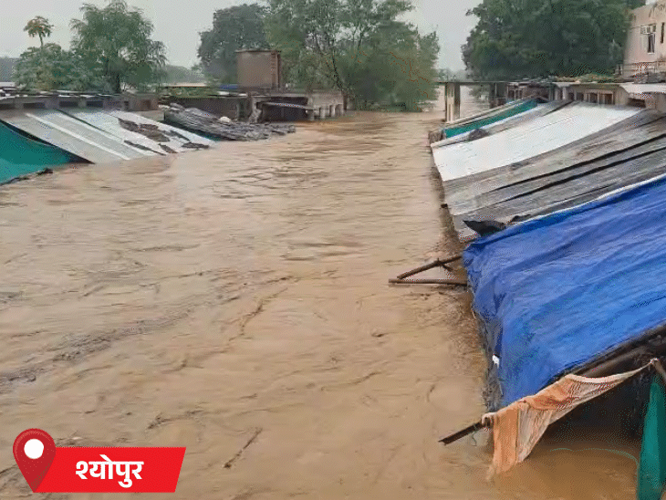 बारिश से MP के श्योपुर की सब्जी मंडी में पानी भर गया। कई दुकानें डूब गईं।