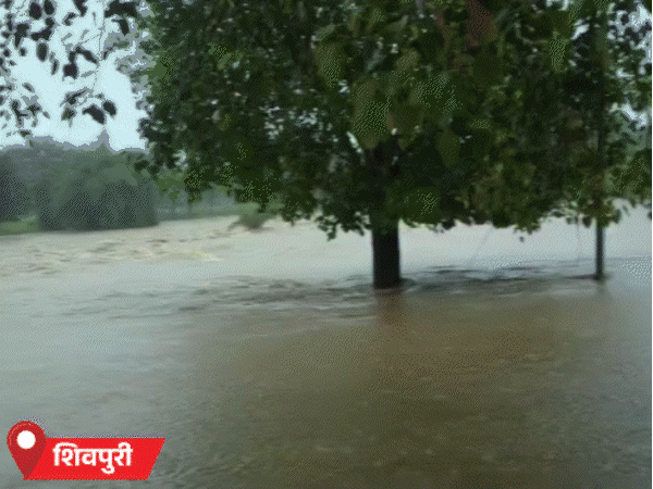 मध्य प्रदेश में लगातार बारिश की वजह से बांधों के गेट खोले जा रहे हैं।
