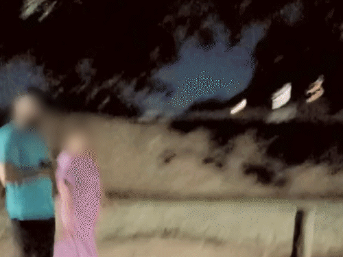 Kamalpreet's husband caught her roaming with a Muslim youth at night in England.