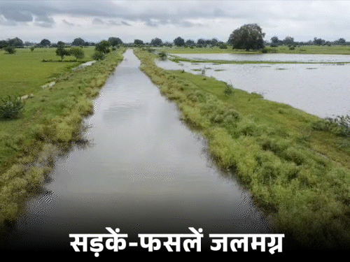 हमीरपुर में 10 दिनों से रुक-रुक कर हो रही बारिश ने किसानों की मुश्किलें बढ़ा दी हैं। नहर में हुई कटान से 100 बीघा फसल जलमग्न हो गई है। सड़कें डूबी हुई हैं।