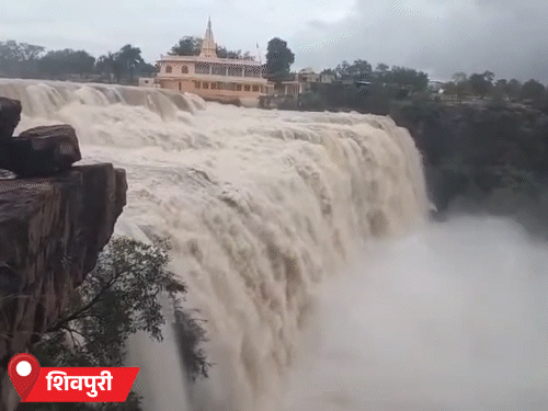 पोहरी में भारी बारिश के बाद पवा झरने में बहाव बढ़ गया है।